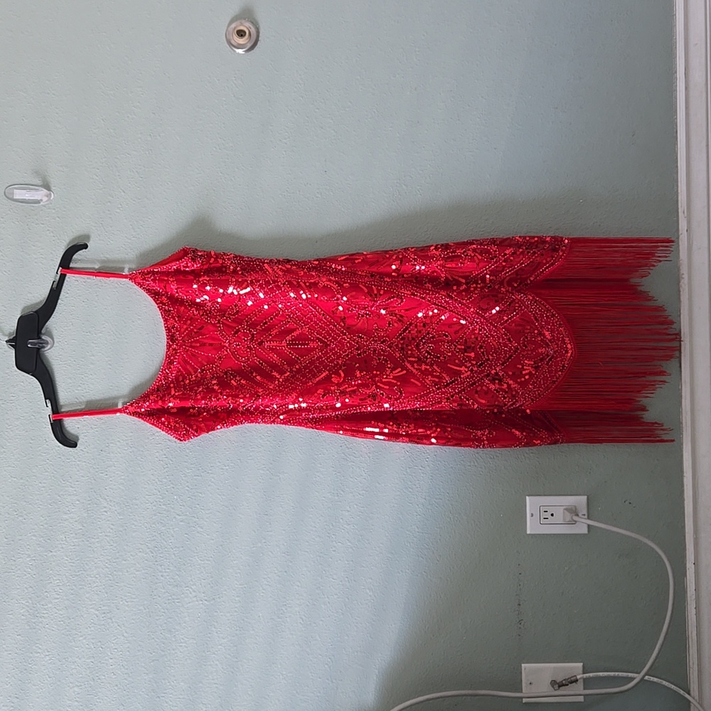 Flapper Costume - Picture 4 of 12